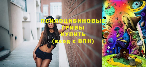 тгк Алексин